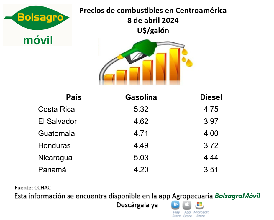 COMBUSTIBLES CA 12 DE ABRIL