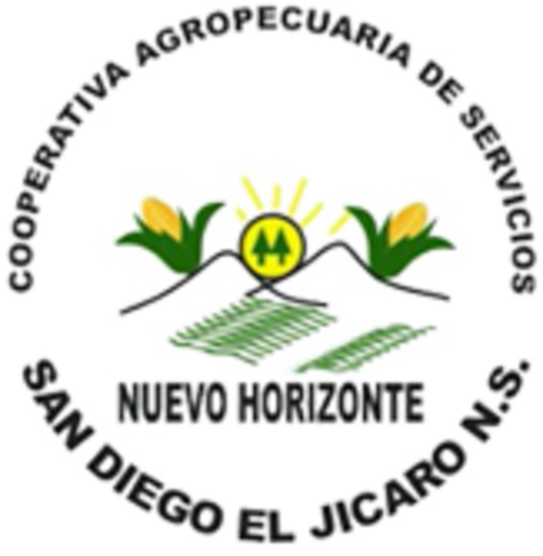 logo NUEVO HORIZONTE 1