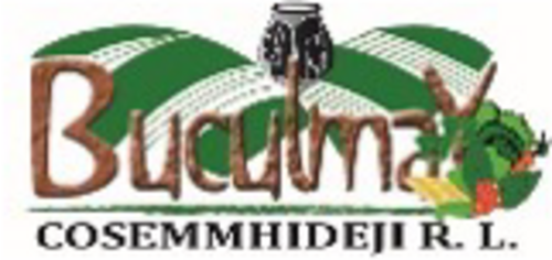 logo bulcumay