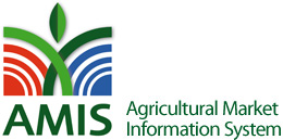 amis logo