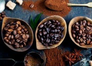 Productores de América Latina apuestan al café más amargo por su dulce rendimiento